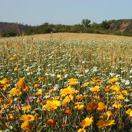 Appartement Pedra Dos Corvos House Odeceixe